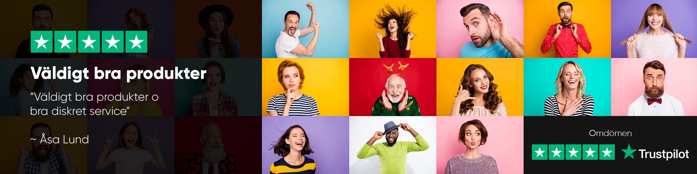 shyse-trustpilot