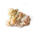 Copaifera Officinalis Copaifera Officinalis