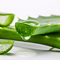 image of vitamin E image of vitamin E