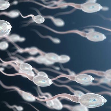 Förbättra din sperma kvalitet för att påverka sperma smak och volym
