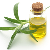 Rosemary Oil Rosemary Oil